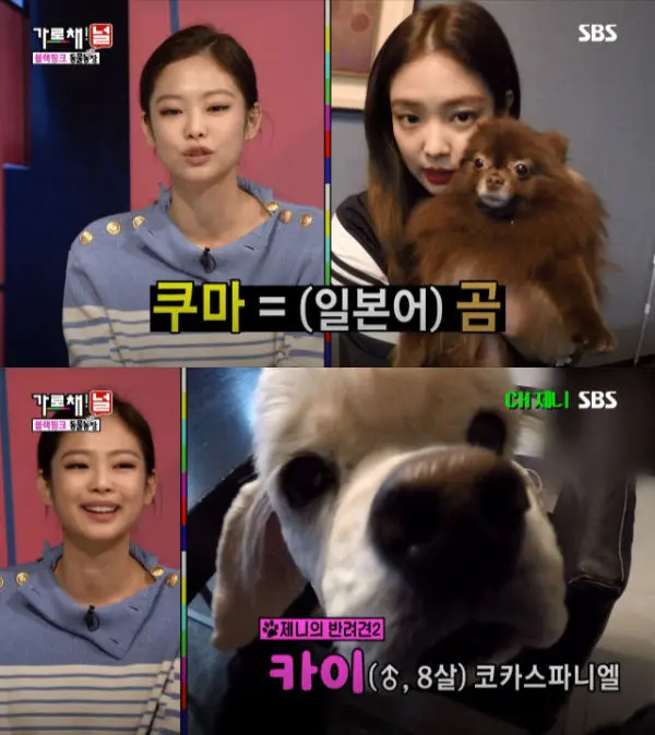 How BLACKPINK members pamper their adorable furbabies