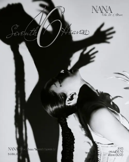 NANA レコード 新品未開封 30001014026_500.webp